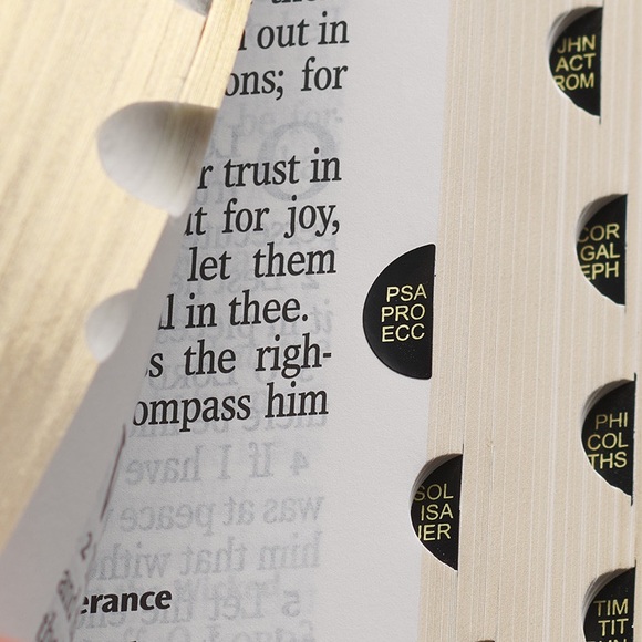 Pink Faux Leather Giant Print King James Version Holy Bible - Picture 4 of 4